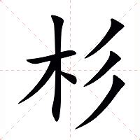 杉意思|杉的意思